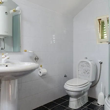 Bozo * Τρογκίρ